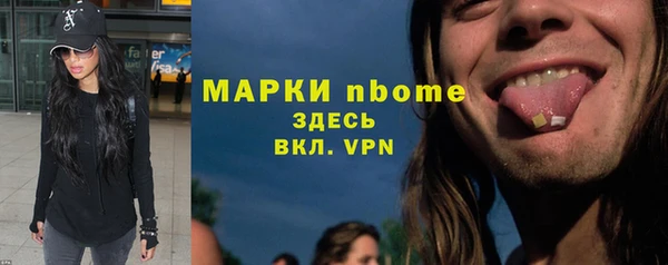 хмурый Алексин