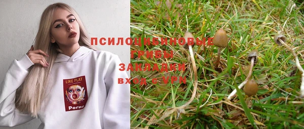 хмурый Алексин