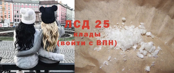 хмурый Алексин