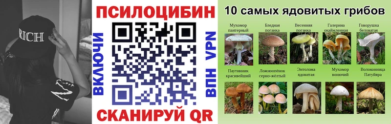 купить наркотик  Жуков  MEGA онион  Галлюциногенные грибы Cubensis 